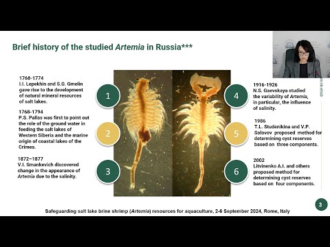 Artemia biodiversity in Russia | Safeguarding Artemia resources