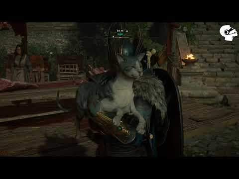 Assassins Creed Valhalla - Trophy Guide - Katzen streicheln / Pet Cats