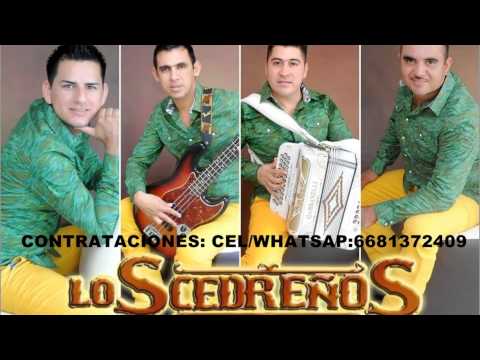 Cosas Que Nunca Te Dije - Los Cedreños