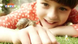 Topsy ve Tim | Tanıtım | Minika Çocuk - Şubat 2019