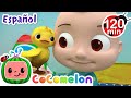 ¿Dónde están los patitos? | CoComelon y los animales 🍉| Dibujos para niños