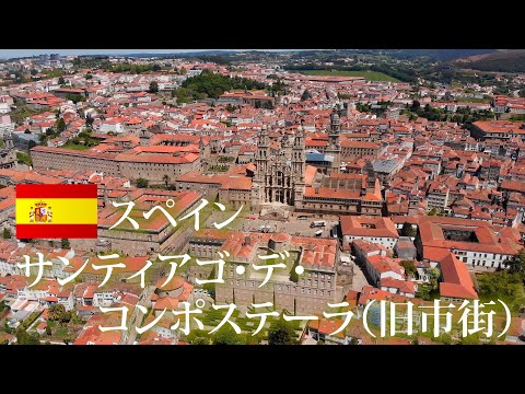 ゴールデンセトニアについて詳しく解説