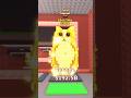 El Nuevo OG Meowl En Steal A Brainrot Roblox Brainrot Shorts