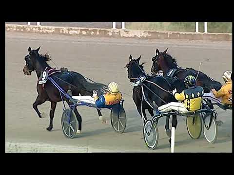 Trotto 26/01/2021 - 6ª corsa