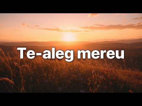 Te-aleg mereu (Cover)