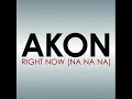 Akon Right Now Na Na lyrics