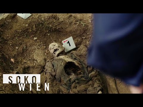 ᴴᴰ SOKO Wien Staffel 12 Folge 9 - Der falsche Mann