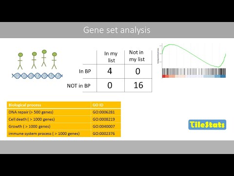 Gene set analysis - GSEA and Fisher's exact test