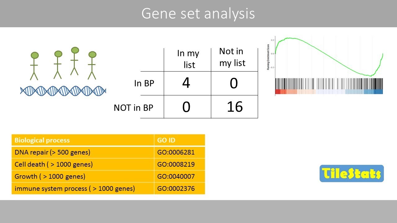 Gene set analysis - GSEA and Fisher's exact test