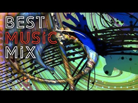 Felguk, Scarlatelli, Sheyla Bonnick - Sunny @ Insônia x Vex Music Video