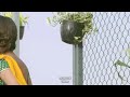 Jhuki Jhuki Nazar Teri WhatsApp Status