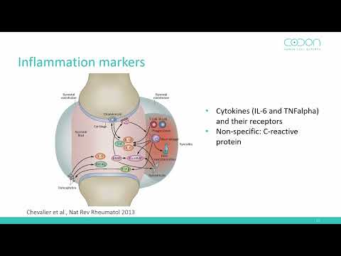 Vonk L. - Effect of Activity in Joint Homeostasis - Any Markers to Measure?