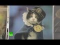В Японии умерла кошка-станционный смотритель Тама 
