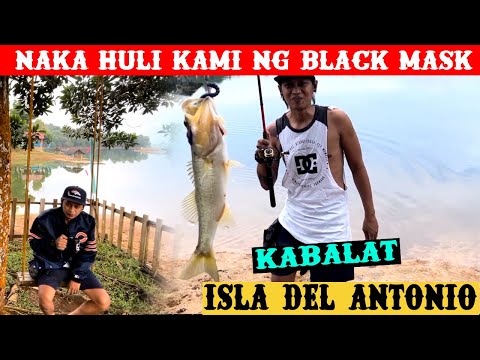 Service sesion sa Isla del antoñio at nakahuli kami ng black mask imported n isda #fishing #art