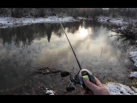 On the first snow with Shimano Antares 2025