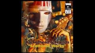 [Fan Album] Buckethead & Friends - Scattered Works #2