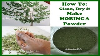🌿 HOW TO Clean, Dry  Moringa Leaves & Make your own Moringa Powder | Simply Naturabelle