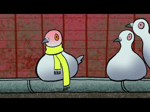 Machen Tauben krank?