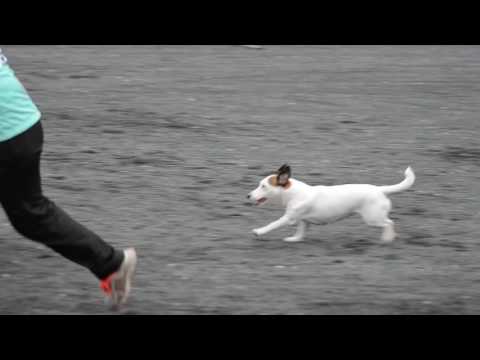 Rukan Roihurallit 2016 (2)