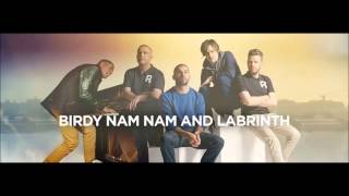 Birdy Nam Nam - Written in the Sand (Labrinth Remix) [Live 2012]