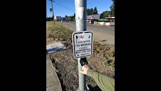 Riding my scooter to work #shorts #shortvideo #metaglasses #fast #riding