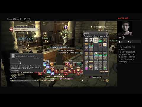 I am playing Final Fantasy XIV online (Culinarian quest Dodo It Yourself)