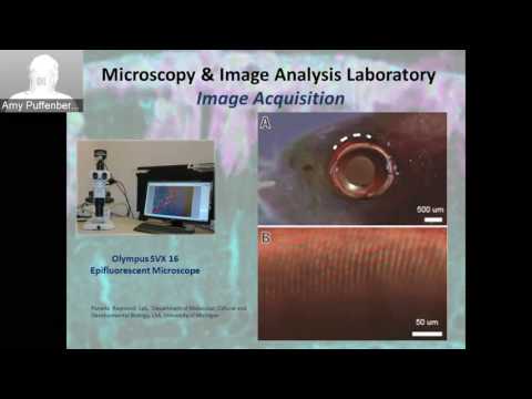 BRCF Technology & Services Showcase 2016 - STED Depletion Microscopy Speaking Session