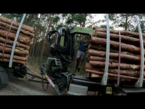 Forest Adventure #529 THIS IS GOING TO GO | sticky asphalt | NORA