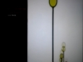 The Wild Thornberrys 1998 2004 Split Screen Credits 2000 2006 YouTube English UK 1