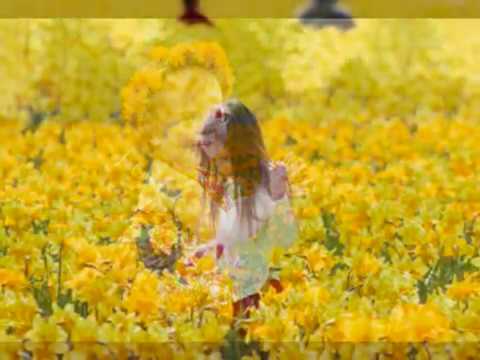 Doli lulja nga blini - Grupi i të rinjve Gjirokastër (ndalohet rreptësisht kopjimi dhe ripublikimi)