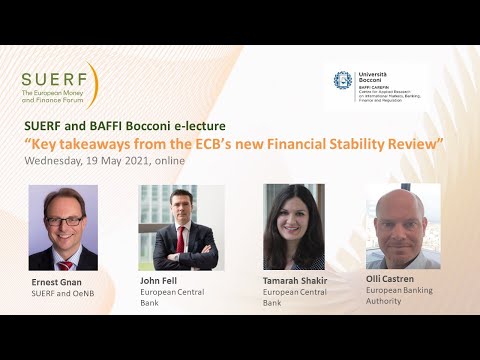 SUERF BAFFI Bocconi Webinar - ECB March 2021 Financial Stability Review  - Fell Shakir Castreen Gnan