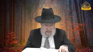 דף היומי בחצי שעה - יבמות דף י"ב