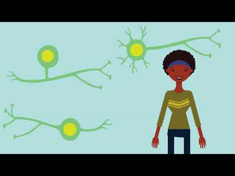 Mozak - Crowdsourcing Neuroscience While Shaping Experts