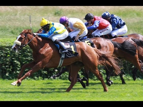 Berlin-Hoppegarten: Preis der Brandenburger Kommunalwirtschaft (D) - Siegerin: Ninfea