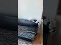 Видео превью