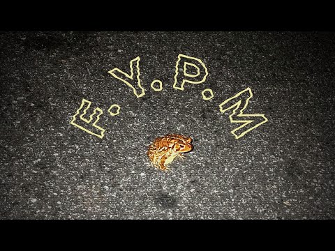 F.Y.P.M - ADLEI ( PROD. TYLIAN MTB ) (lyric video)