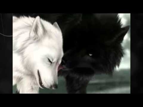 Crimecore - stimmen demo