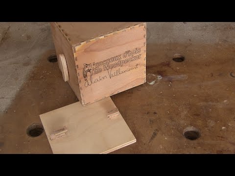 L'gosseux d'bois Ep 336 - Boîte mystérieuse