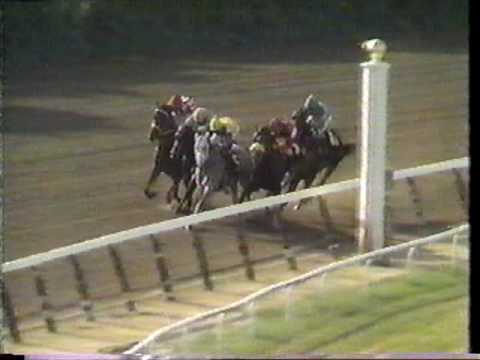 1986 Metropolitan Handicap (ESPN)