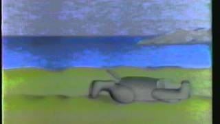 Crystal Tipps and Alistair at the beach