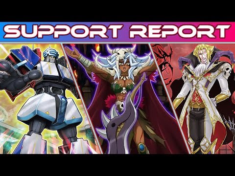 Support Report - Vehicroid/Amazoness/Vampire (and more)