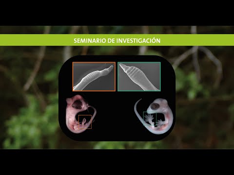 29-sep. Comparative embryology and the evolution of adhesive pads in lizards. AARON GRIFFING