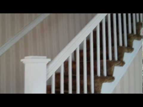 38 Massasoit Ave, Mattapan, MA Video Tour