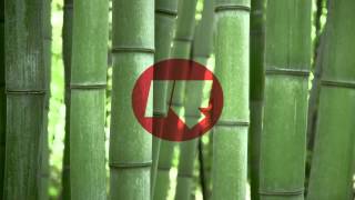 Youngsta - Rinse FM podcast (08.10.2012)