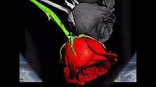 BRONCO   entre el cielo y el infierno