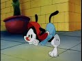 Animaniacs Potty Emergency Russian 2014 Dub By Boomerang