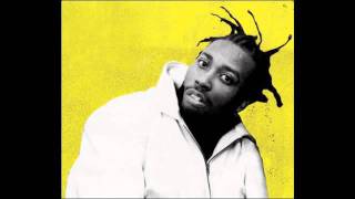 Shimmy Shimmy Funk (ODB & Everlast Mashup)