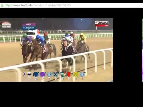 Dubai World Cup 2015- Prince Bishop mit William Buick