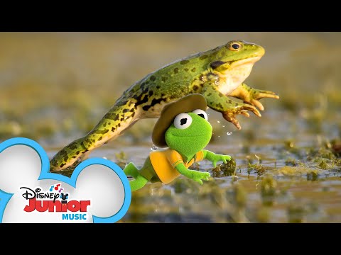 做一隻青蛙 - 音樂錄影帶 - 布偶寶寶 - 迪斯尼少年版 (Be a Frog ?| Music Video | Muppet Babies | Disney Junior)