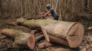 Off Grid Winter Project: Milling the Giant Ash Tree into Planks